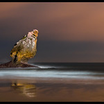 contra viento y marea