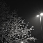 Night Light Snow