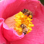 safe travels today ...