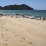 New Zealand November 2005