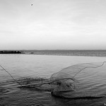 IN SEARCH OF FISH! - (Em busca de peixes!)