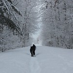 Prescott-Russell Trail