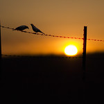 so, how was your day?