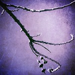 The never ending story ...