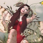 Butterfly,like a butterfly...♪ ♫