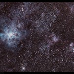 The Tarantula Nebula ( NGC 2070 ) in the Large Magellanic Cloud ( LMC ) - by Mike O'Day ( https://500px.com/MikeODay )