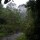 Sanchahe Park, Xishuangbanna