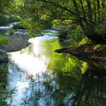 Along the Creek