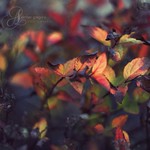 Through the unknown, unremembered gate