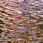 "All Is Full Of Love" To My Friend suzysm