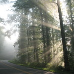 Sunrise on the Blue Ridge Parkway