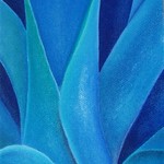blaue Agave