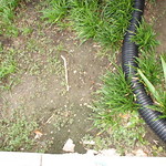 Guerilla plot - the beginning