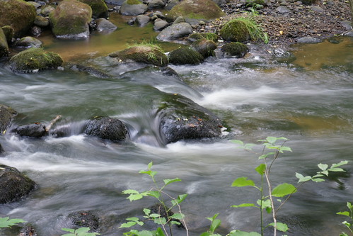 Dukstos upe_2008 07 07_0003