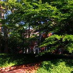 Driving Miss Daisy's Home