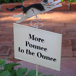 More Pounce to the Ounce