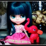 Late Night Chat 353/365