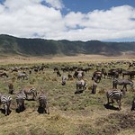 Crater Ngorongoro