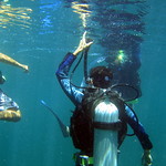 PADI Open Water Scuba diving