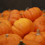 Mini pumpkins