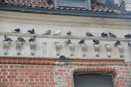 Kaunas_2008 08 07_0181.JPG