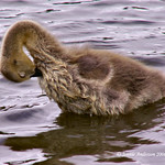 Oooh that feels good