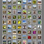 100.........thanks all!