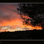 Deixa&acute;m veure&acute;t // D&eacute;jame verte