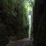 Mambacho Cloud Forest - Nicaragua