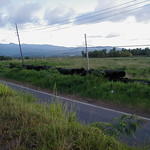 Stored 24 in. dia. Ductile Iron Pipe