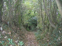Haighton Path