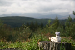 Grandma in Grizedale