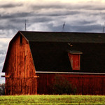 The Red Barn
