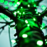 I See Trees of Green