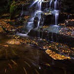 Elakala Falls #2 Shays Run, WV