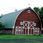 The barn, St Ignatius, Montana