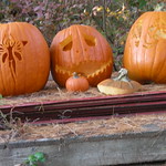 Pumpkins