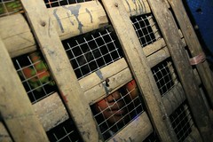 Pekan Raya Jakarta 2008