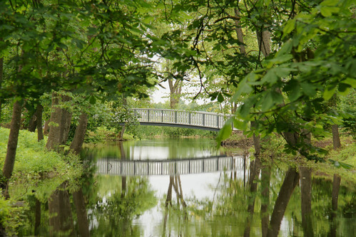 2009 06 06_1567