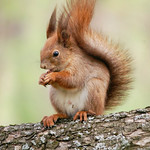 T&iacute;z&oacute;rai / Breakfast