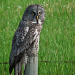 I'm still drooling : )