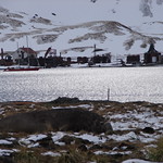 Grytviken