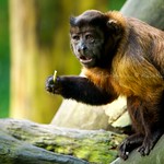 Don't Bother me. I am eating