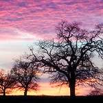 ABS &ndash; Another Bloody Sunset!