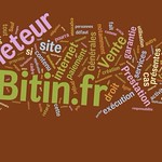 Bitin by Wordle