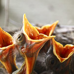 La la La la I love weekends