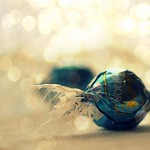 a year of mornings 47:365