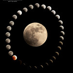 Total Lunar Eclipse June 2011