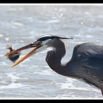 Fishing the easy way