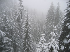 Skiing in Bansko, Bulgaria